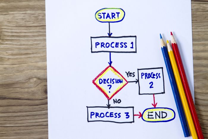 Business Process Management vs Project Management Process