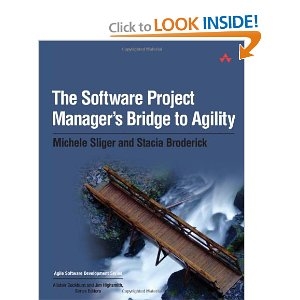 the software project managers bridge to agility book cover