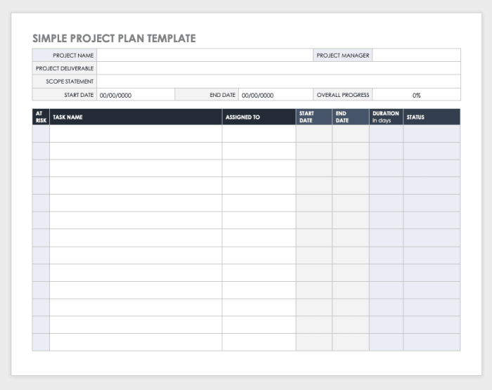 Simple project plan template